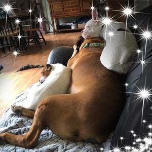 Meet your Posher, Toni